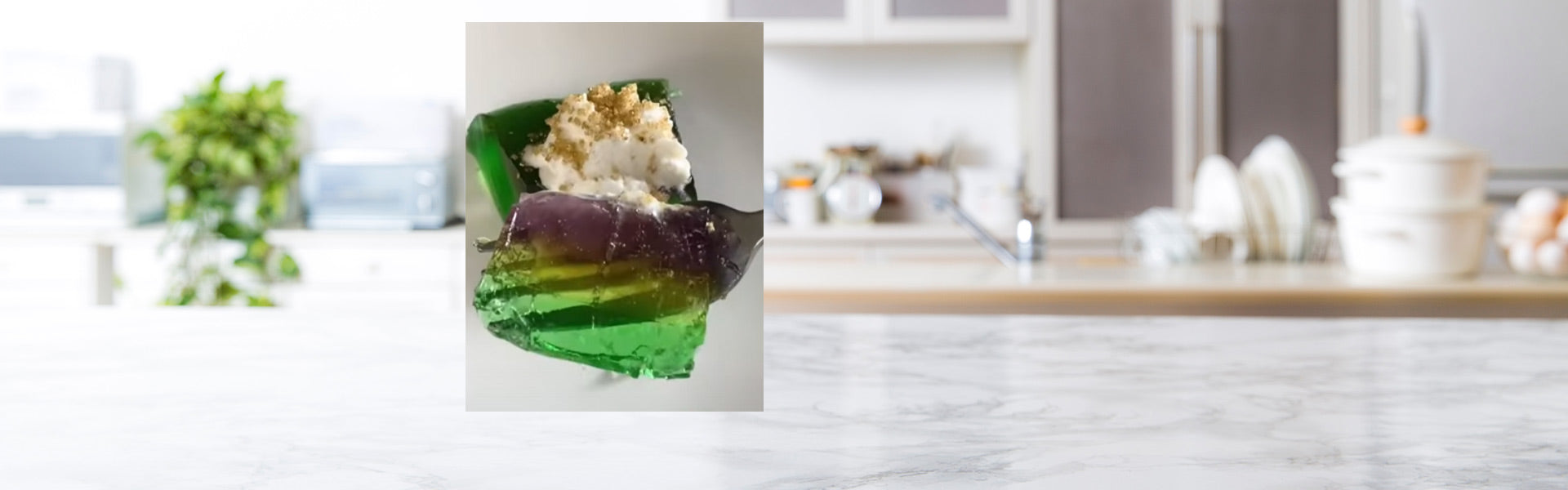 Mardi Gras Gel Dessert Recipe Tupperware Brand Mardi Gras Gel Dessert Recipe Tupperware Brand