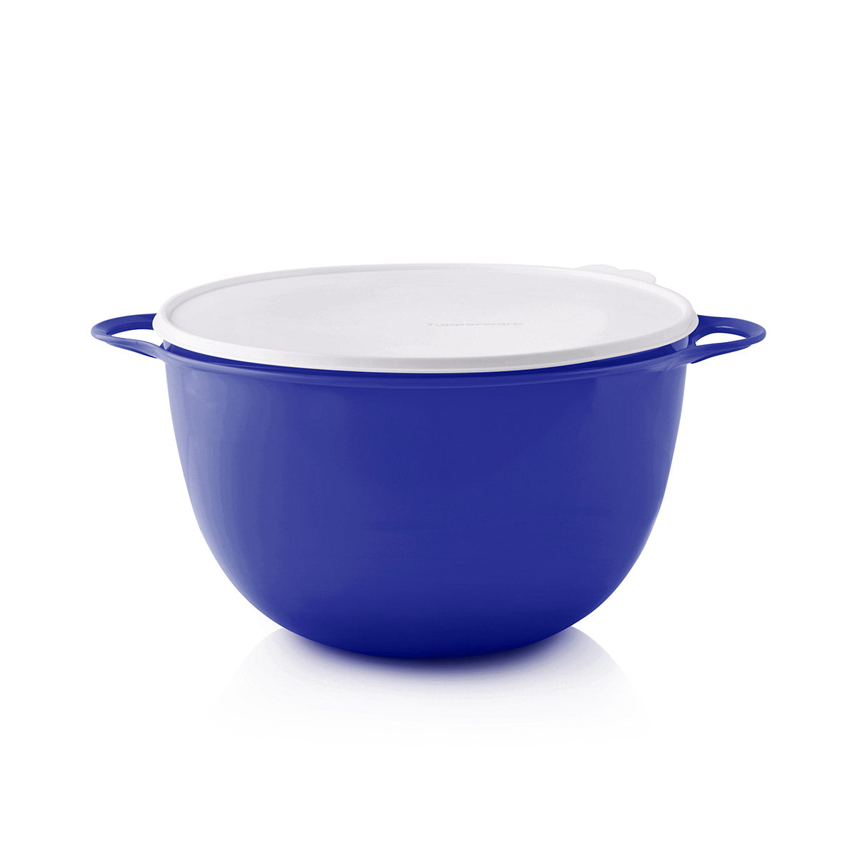 Thatsa® Jumbo Bowl – Tupperware Brand