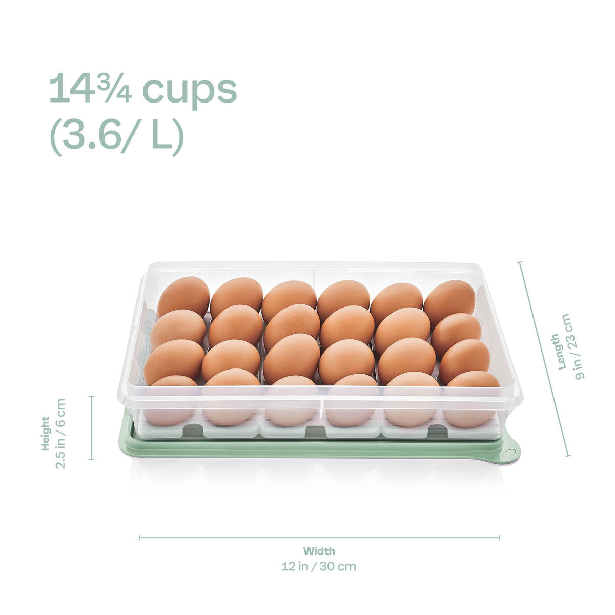 Tupperware® Snack-Stor® Large Storage Container with 3 Egg Tray Inserts