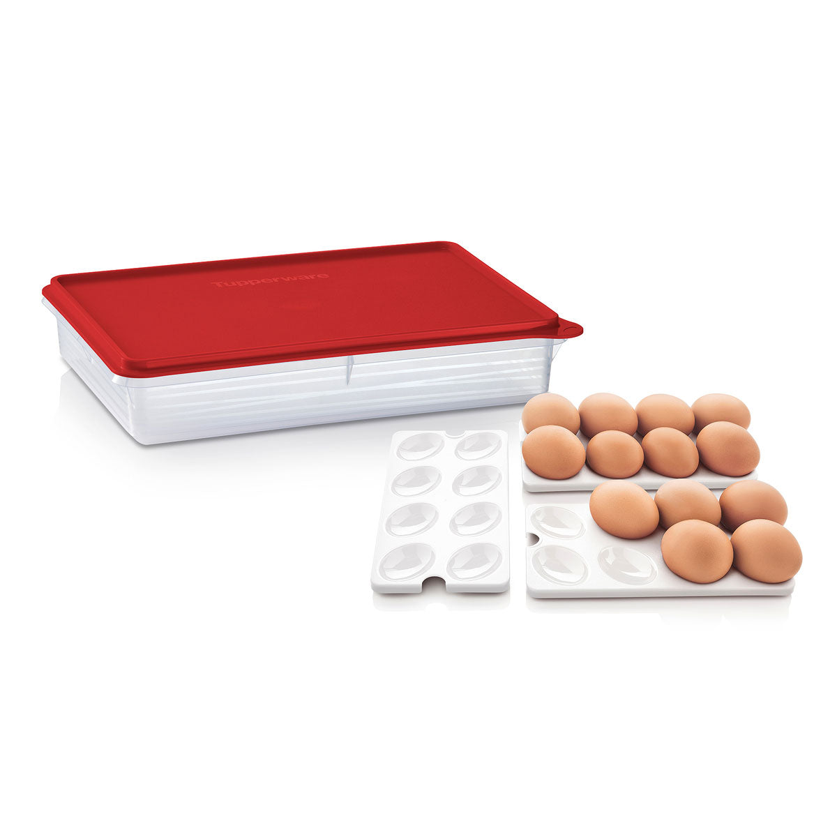 Tupperware® Snack-Stor® Large Storage Container with 3 Egg Tray Inserts