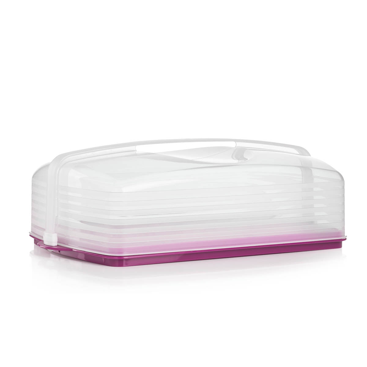 Cake Taker | Rectangular – Tupperware Brand
