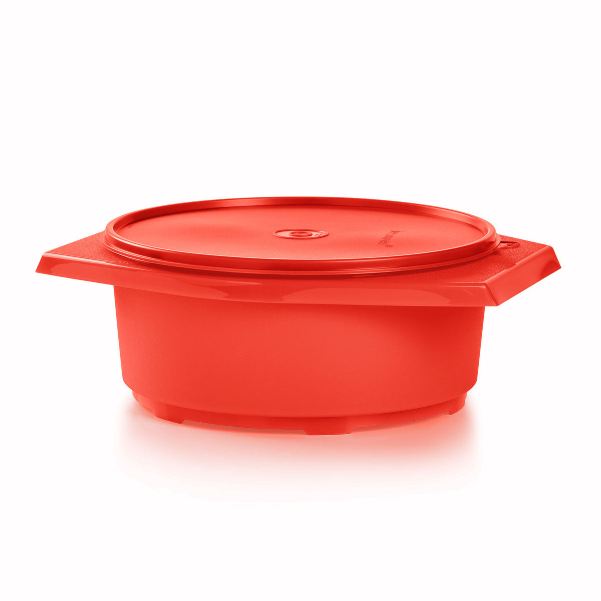 Tortilla Keeper | Large – Tupperware Brand