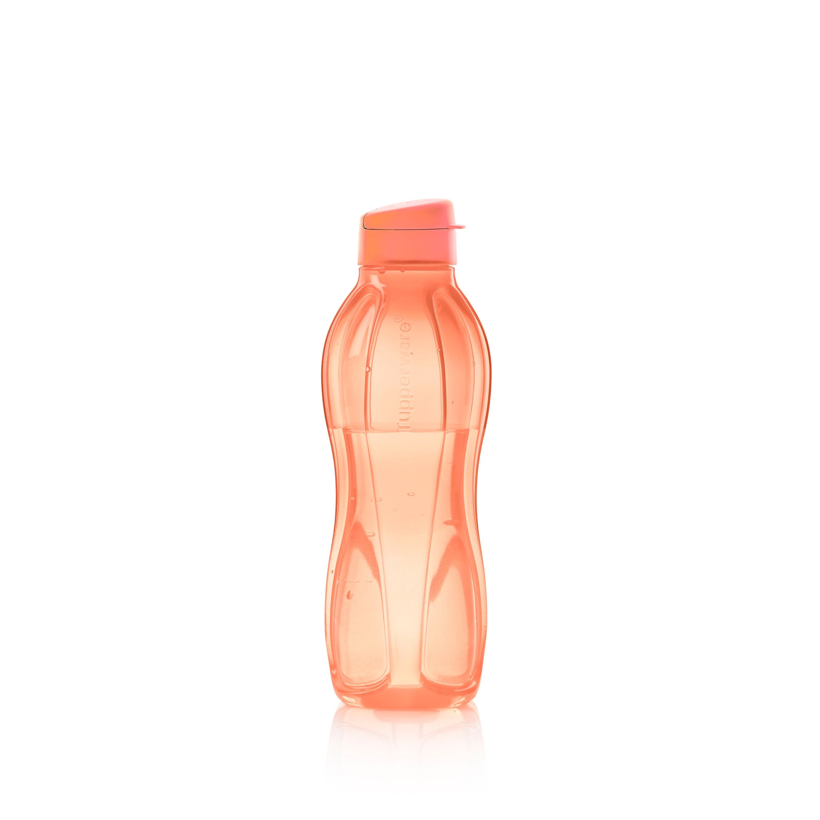 Water Bottle 16oz – US