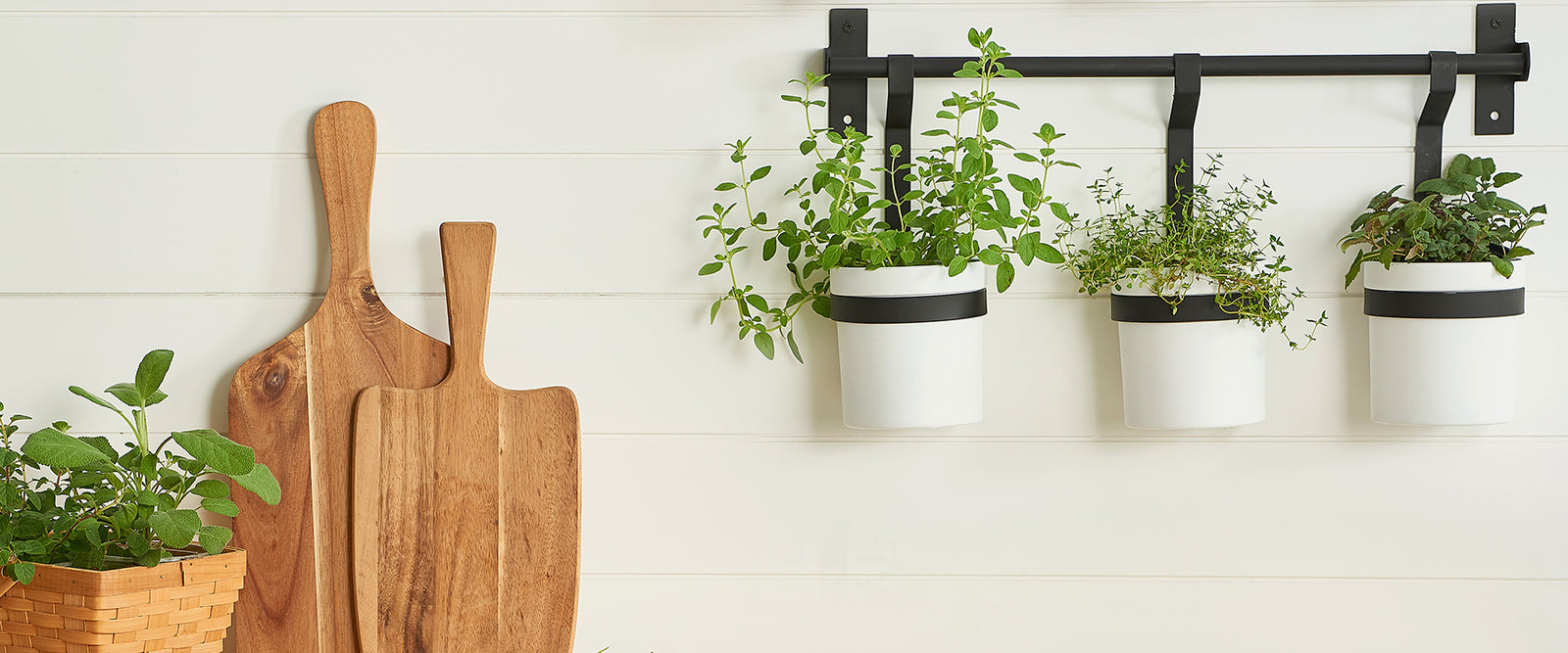 Provencal Blend Tupperware US