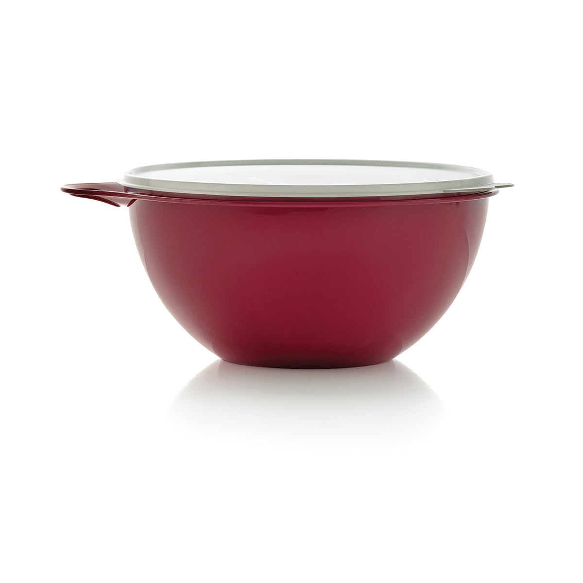 Thatsa® Medium Bowl Airtight Leakproof 19 cups 4.5 L