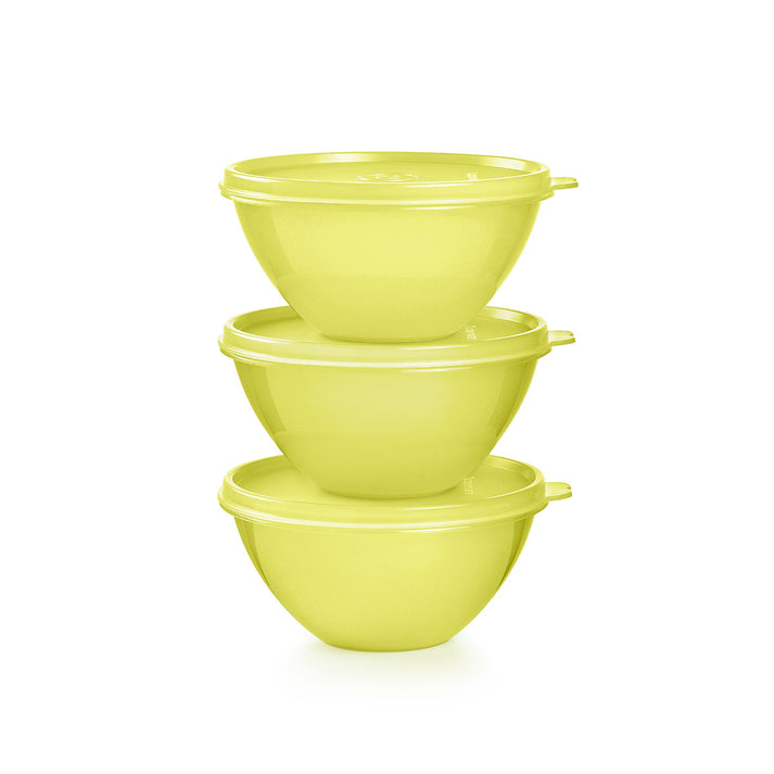 Small Wonderlier® Bowls – Tupperware Brand