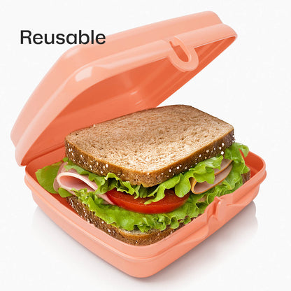 Tupperware® Sandwich Keepers - 2 Easy-Open Lunch Boxes for Kids