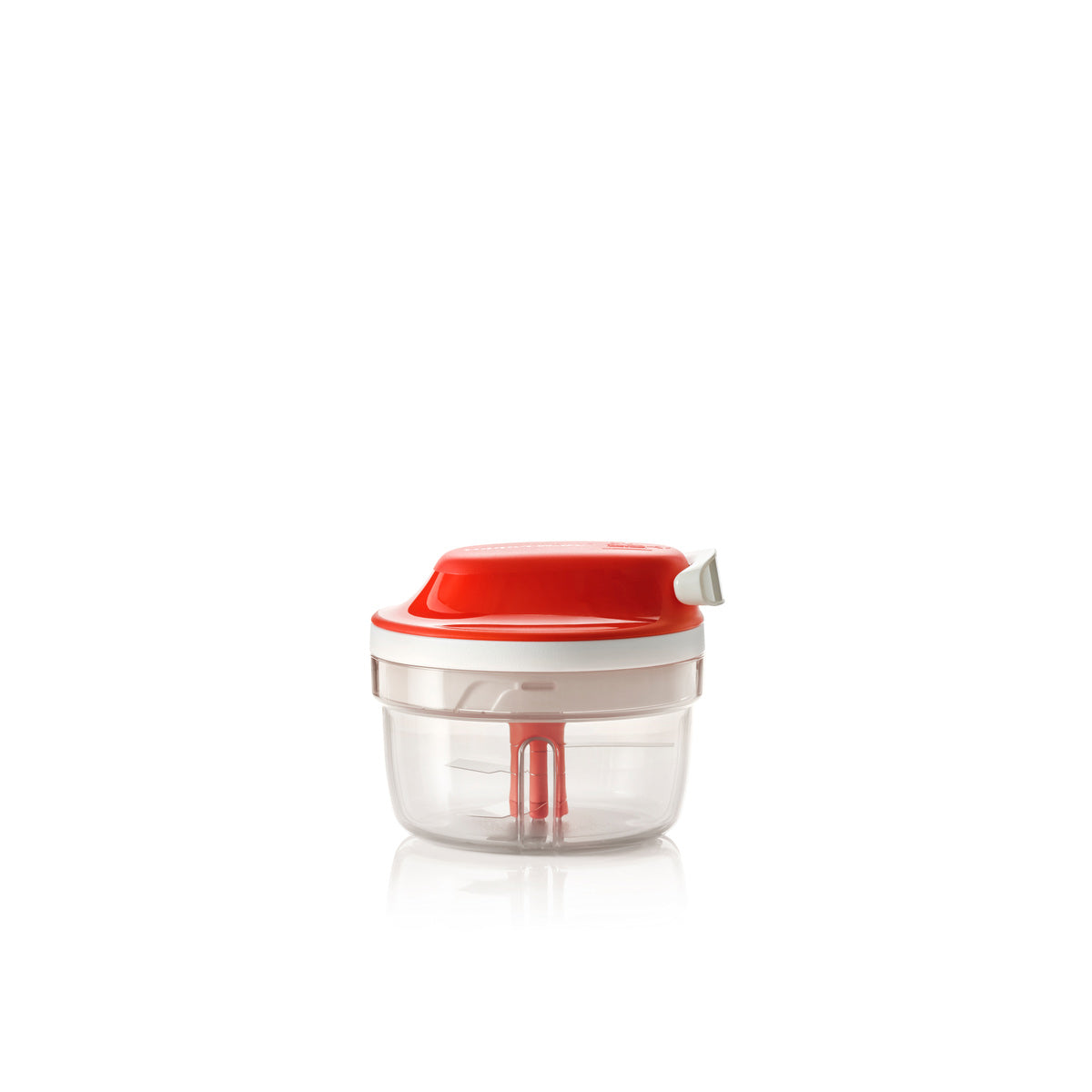 Small Tupperware Chopper Products – Page 8 – Tupperware Brand