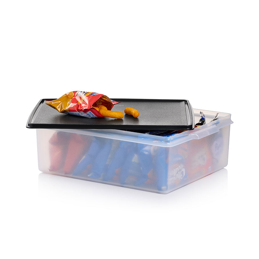 Large Storage Tote – Tupperware Brand