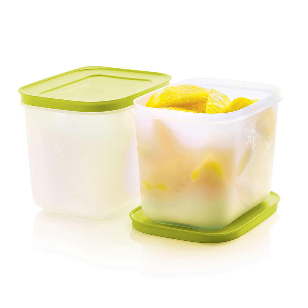 Freezer Mates® PLUS Containers – Tupperware Brand