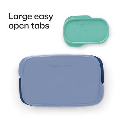 Slim Lunch Container