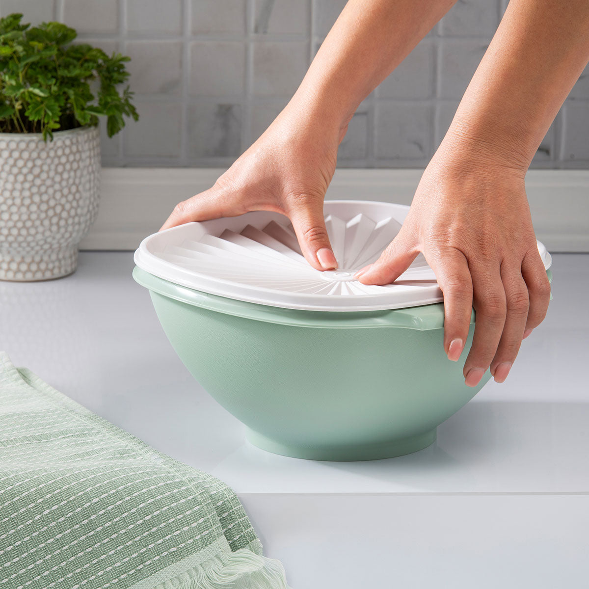 新品未使用 Tupperware 26cm用 スチーマー Servalier® Bowls Set of 4 (Dreamy Pastels) – Tupperware Brand