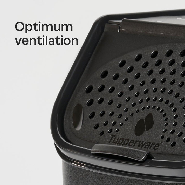 Tupperware® Potato Smart™ Container | Produce Bin | 8.75 qt (8.3 L ...