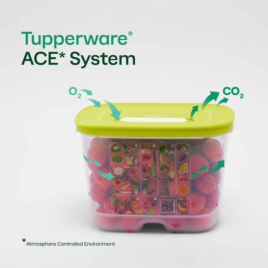 FridgeSmart® | 4-piece Starter Set – Tupperware Brand FridgeSmart® | 4-piece Starter Set – Tupperware Brand