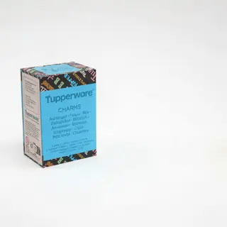 Tupperware® Charms Mystery Box | Collectible Charms | 1 Piece