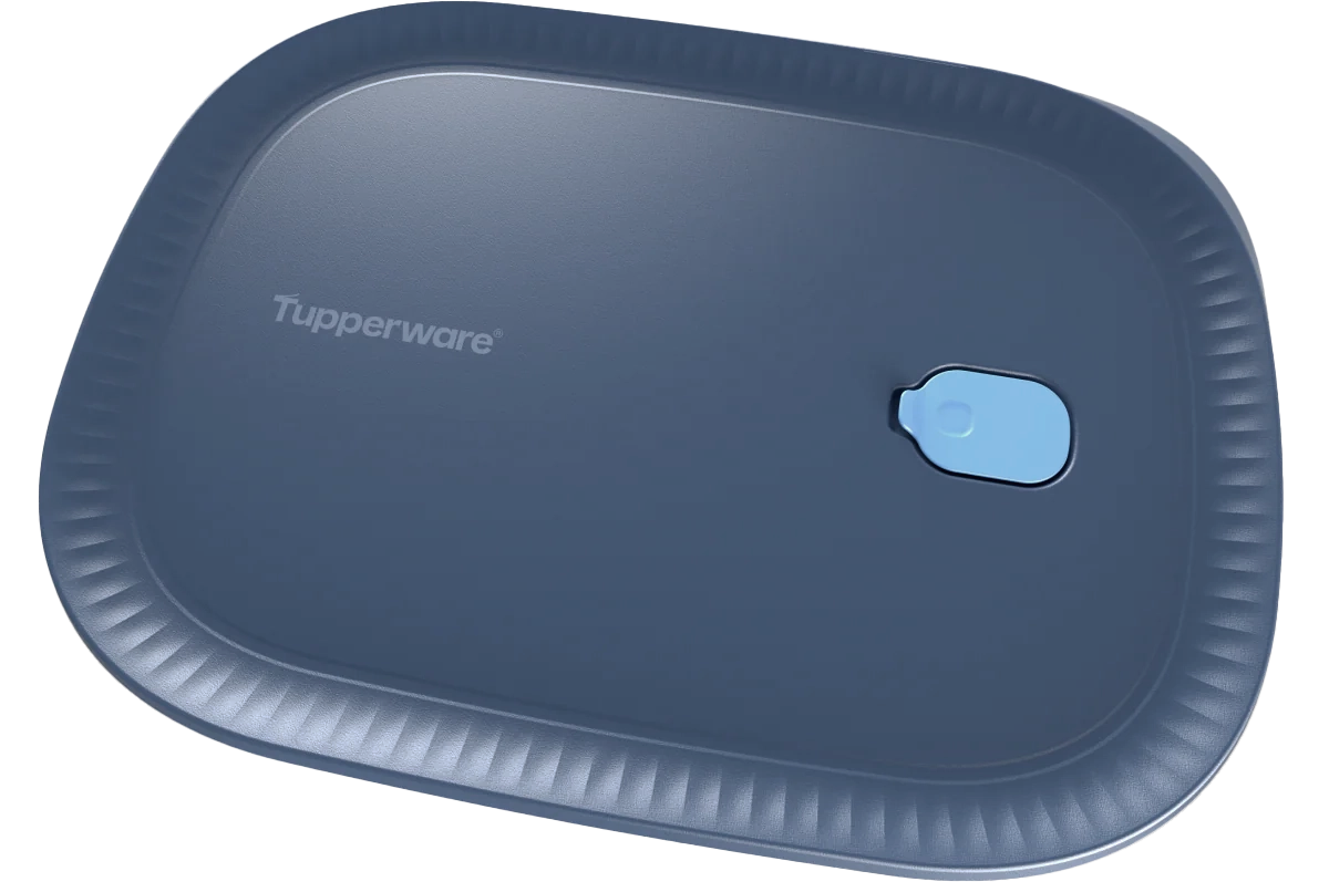 EASY-PRESS AIRTIGHT LID