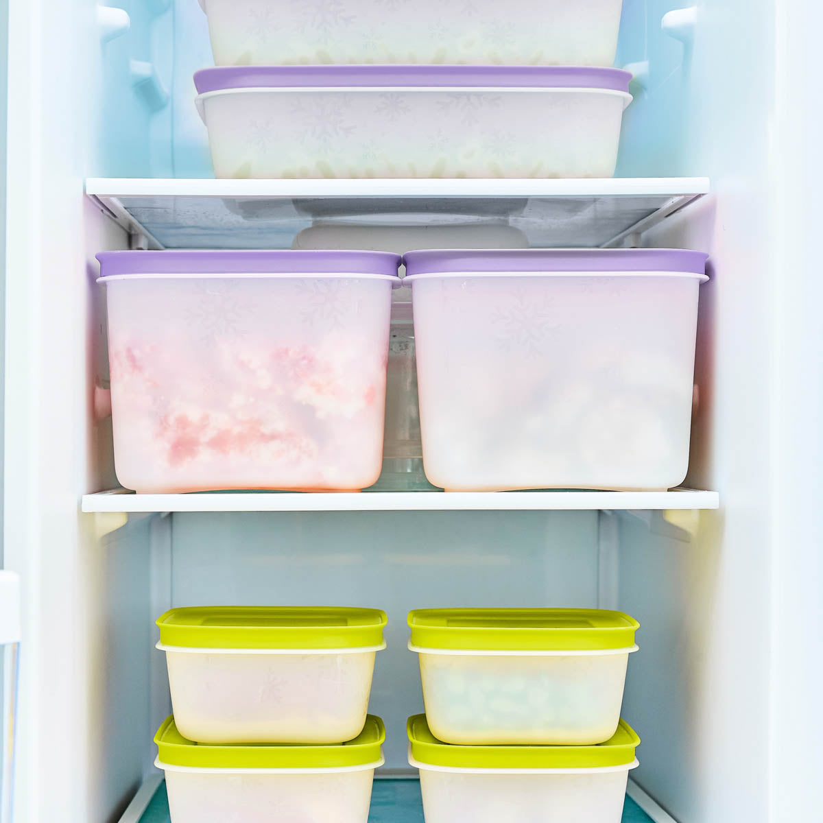 Tupperware Freezer Set Freezer Mates® Plus | Starter Set – Tupperware Brand