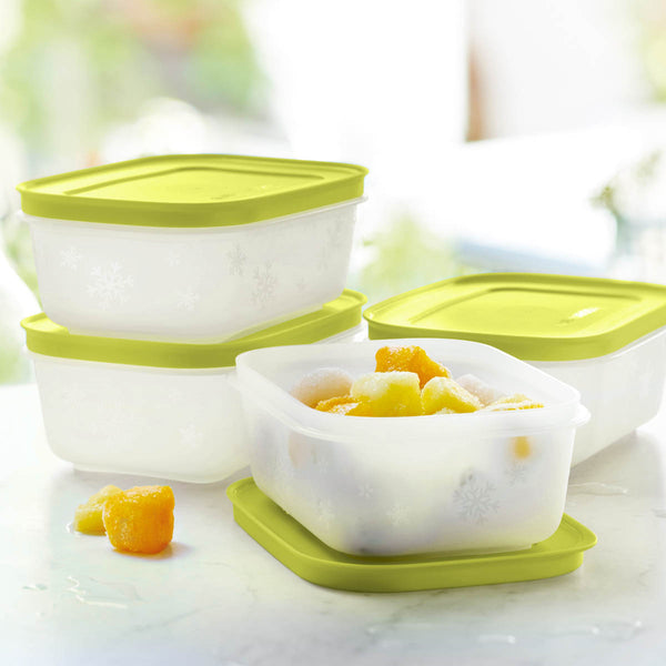 Tupperware® Freezer Mates® PLUS Small Shallow | 4-Piece Container Set ...