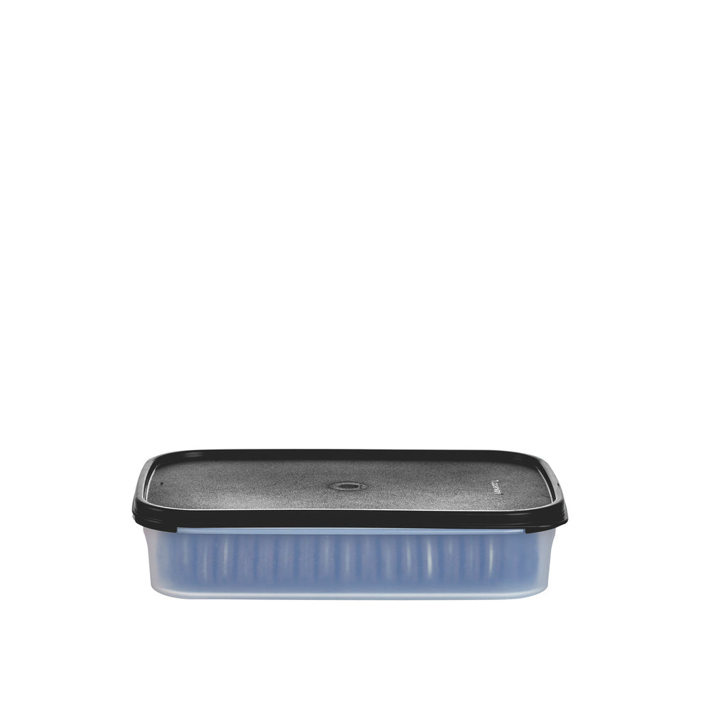Tupperware® Modular Mates® Rectangle 1 | Food Container 8.5-cup / 2 L ...