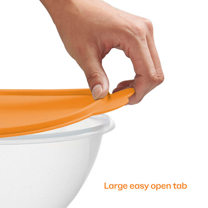 Ensemble de 5 | Bols étonnants classiques