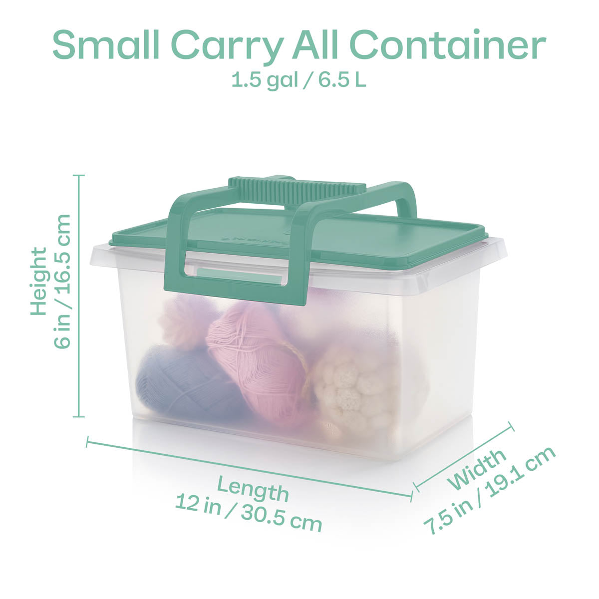 Large and Small Carry-all® Containers (Mint Ice Cream