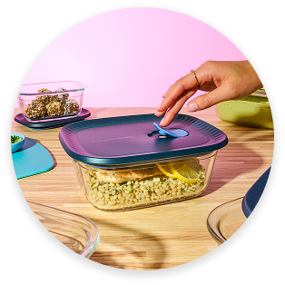 EASY-PRESS AIRTIGHT LID