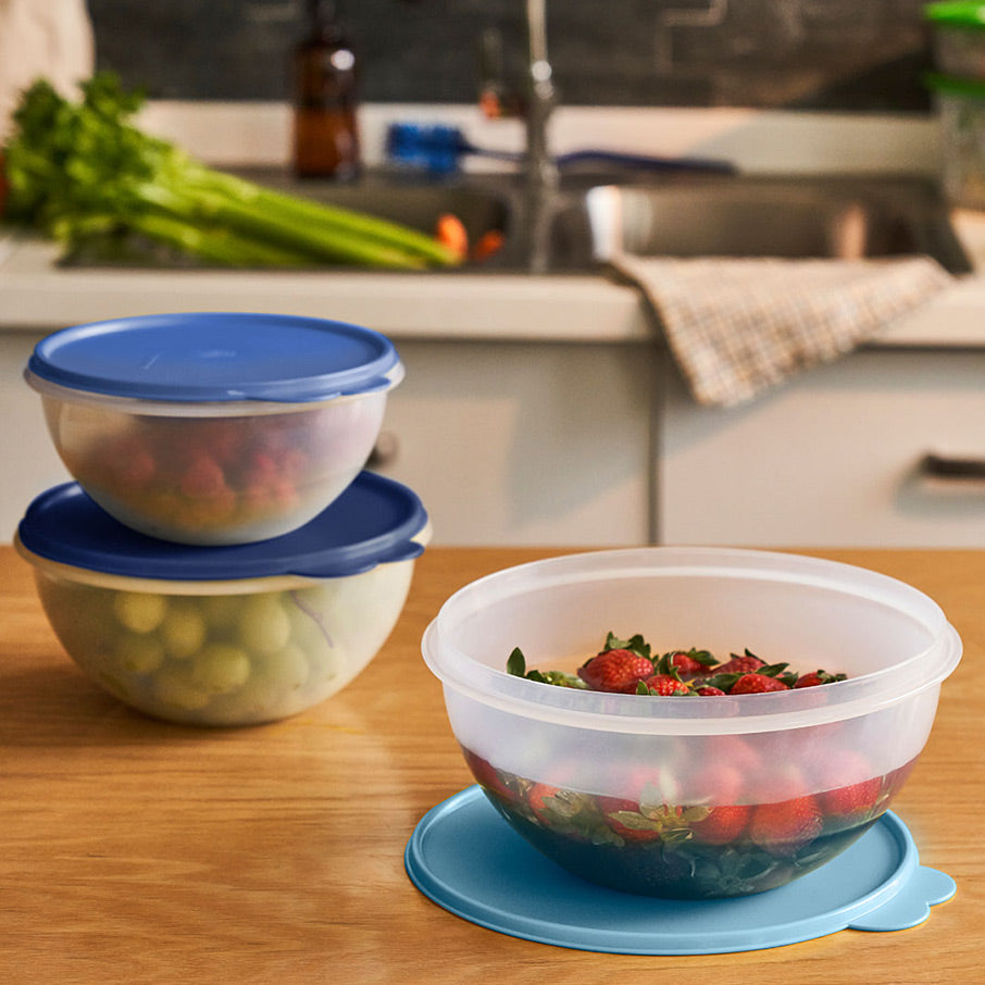 Set of 3 Thermal Hot/Cold Serving Bowls with Lids 
