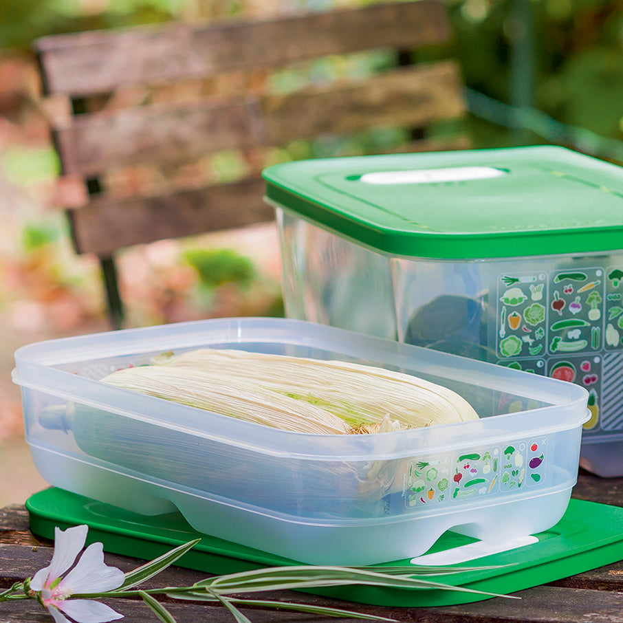 Lunch Dinner Box, Pantry Organizers Transparent Window Lunch Box