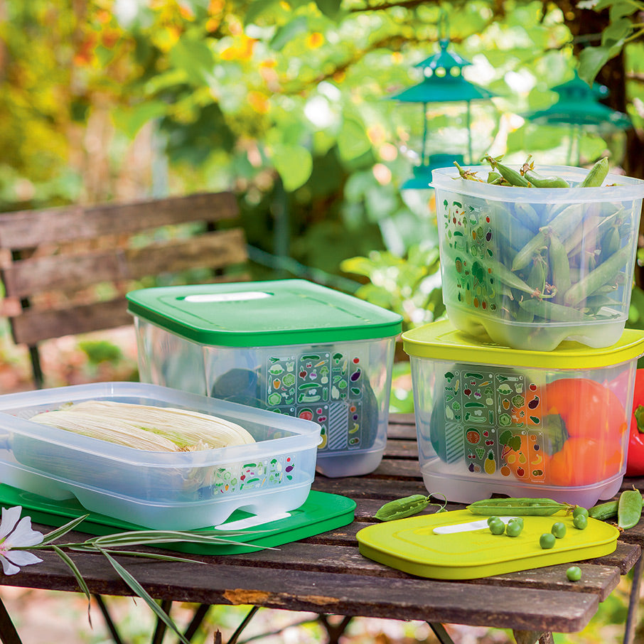 FridgeSmart® 4piece Set Tupperware US