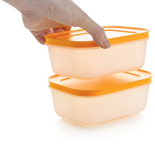 Freezer Mates® Containers – Tupperware US