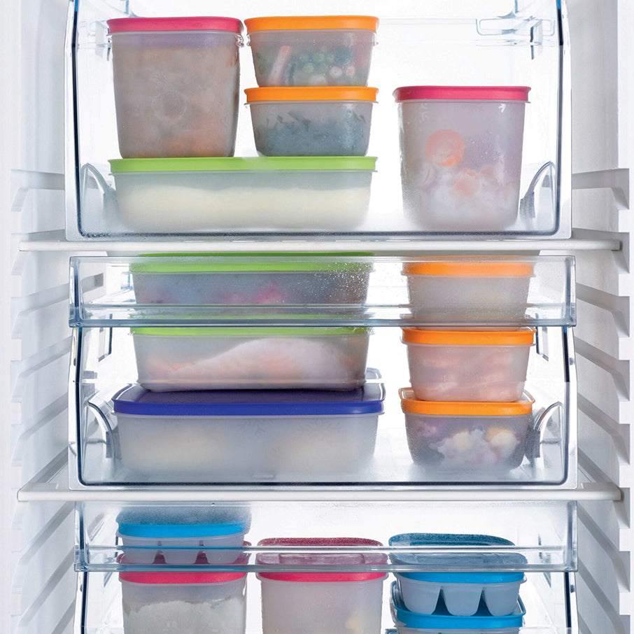 Tupperware Freezer Mates 5 PIECE SET: 1,1 L (2) + 1,0 L + 450 ml (2)