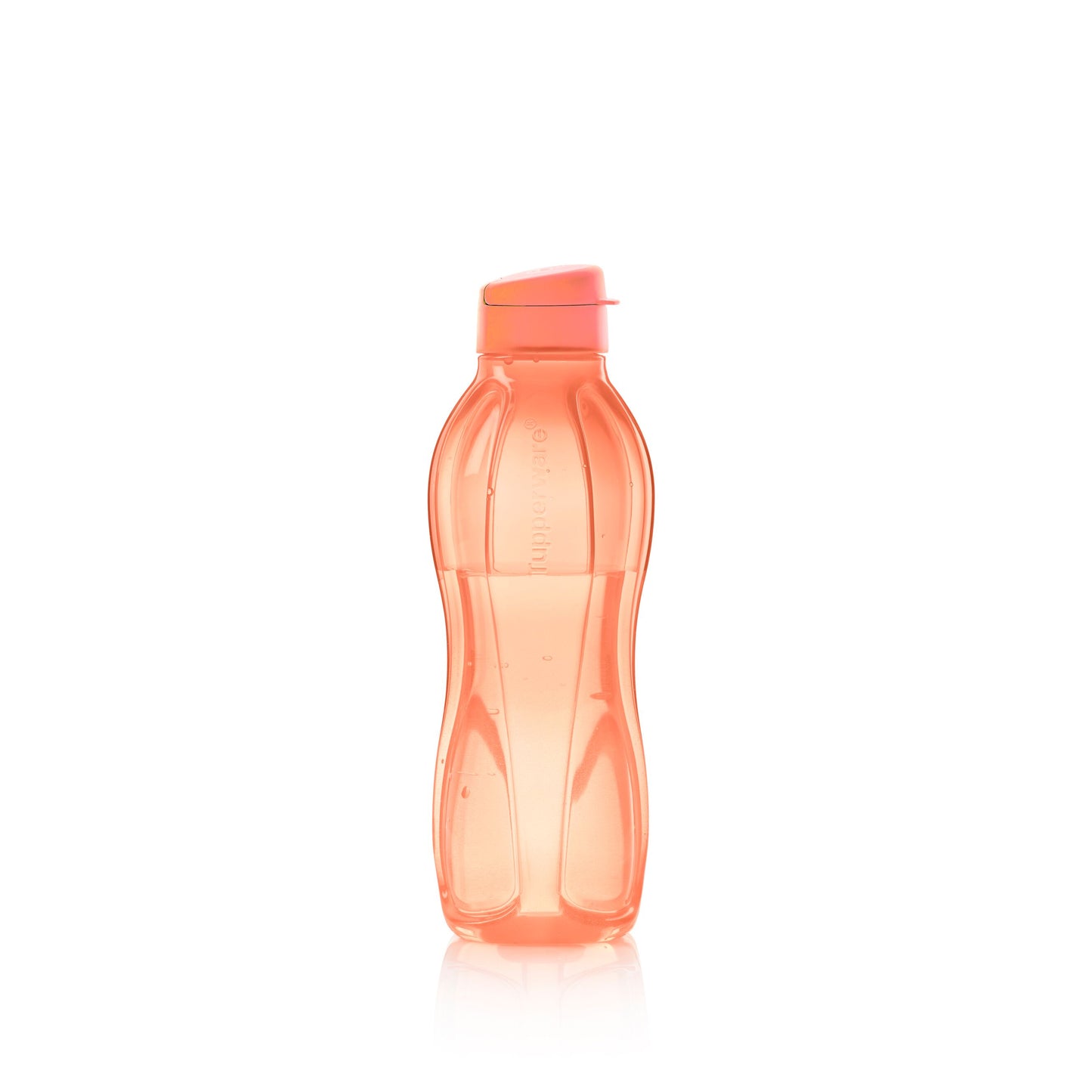 Eco+ Small Water Bottle 16oz