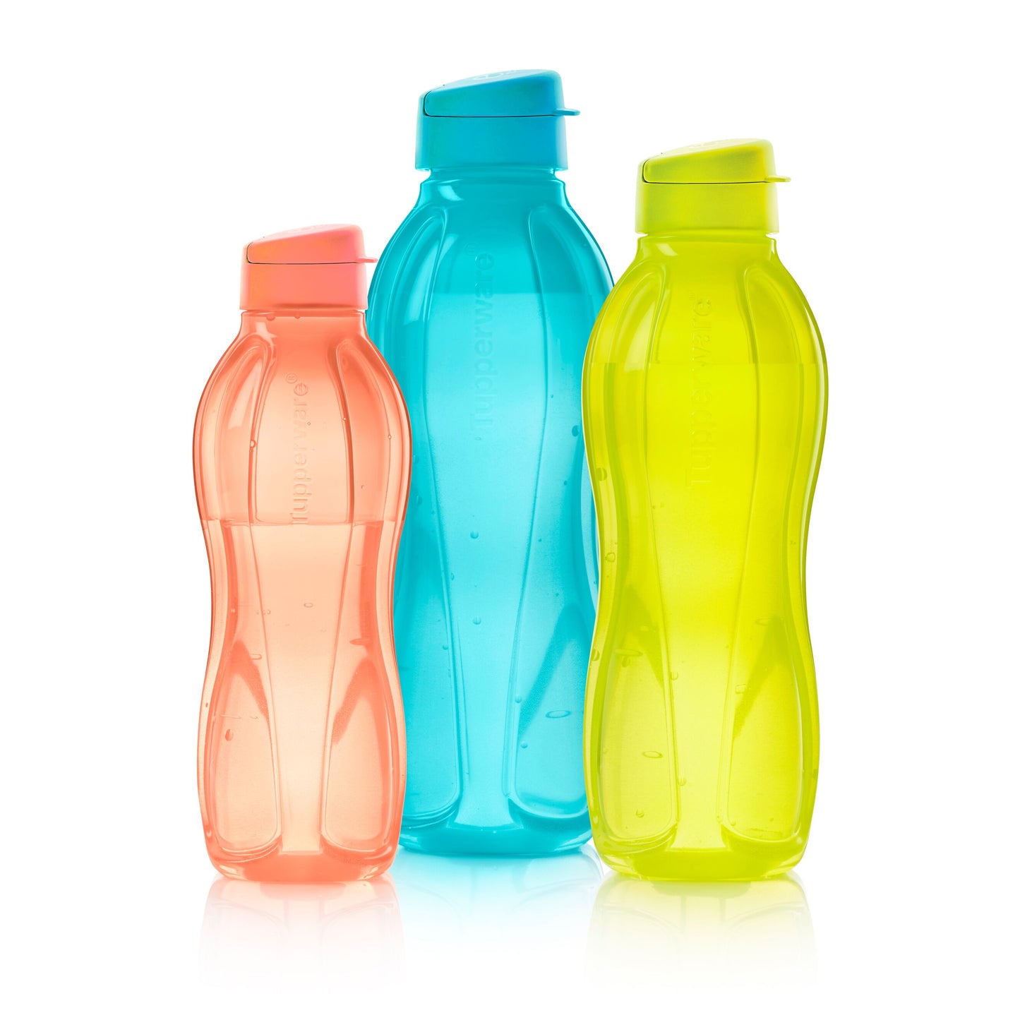 Eco+ Medium Water Bottle