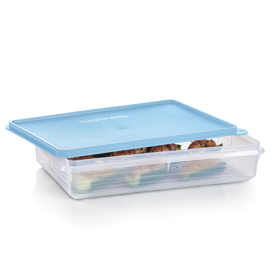 Large Container (Ice Cube) Tupperware US