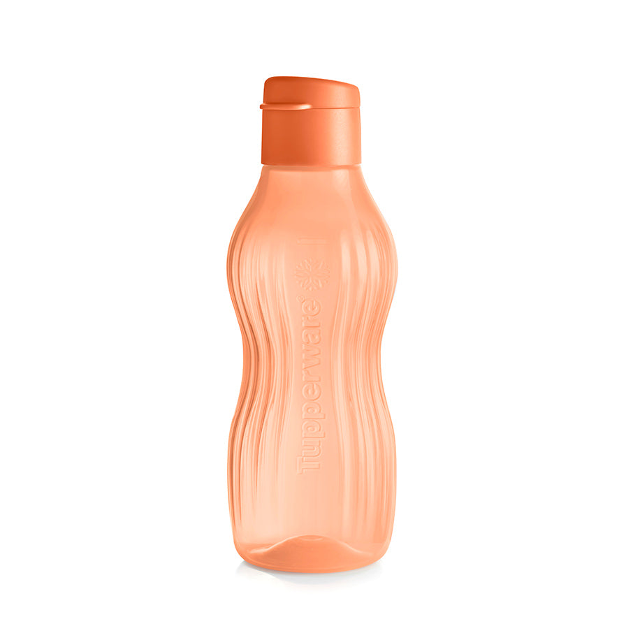 XtremAqua® Freezable Small Bottle* (Cozy Rosy) – Tupperware US