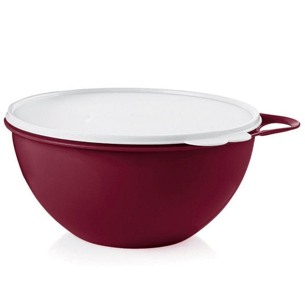 Tupperware 4.3 L Oval Insulated Server Bowl with Spoon and Lids 5 Piece  #4995A