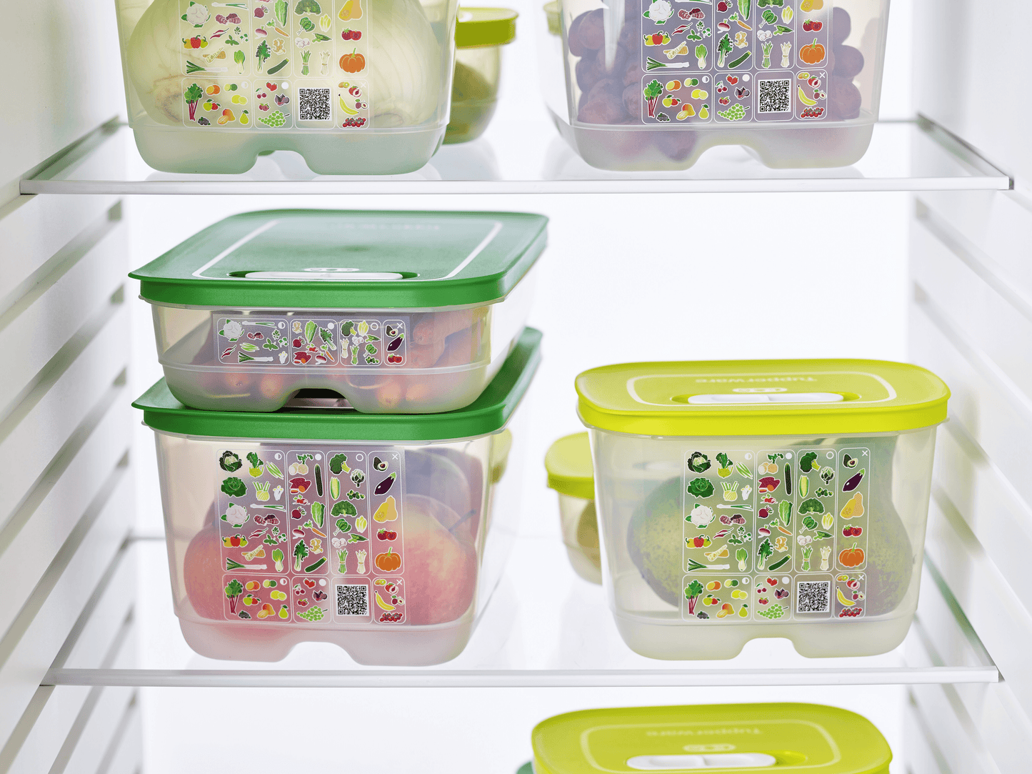 Is Tupperware BPA-Free  BPA-Free Plastic Containers- University